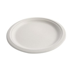 Assiette pulpe biodégradable blanche